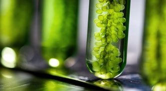 Biocoating